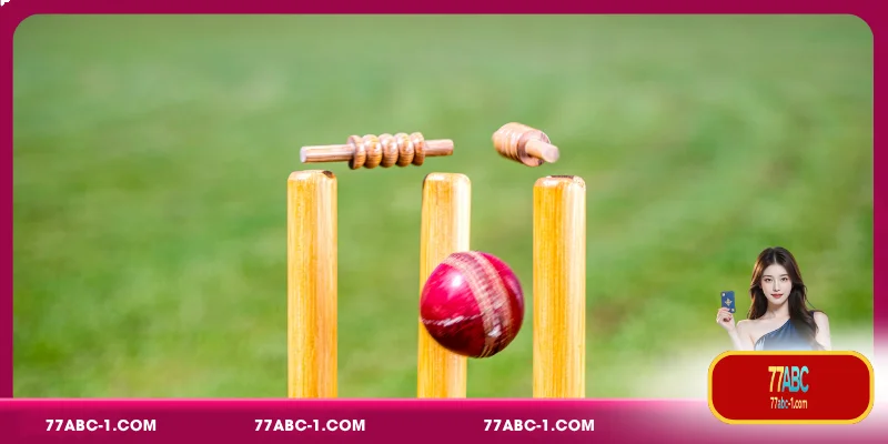Key Considerations for Cricket Betting Predictions Usage