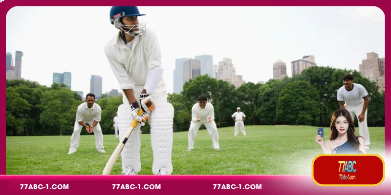 Steps to Perform Cricket Betting Predictions